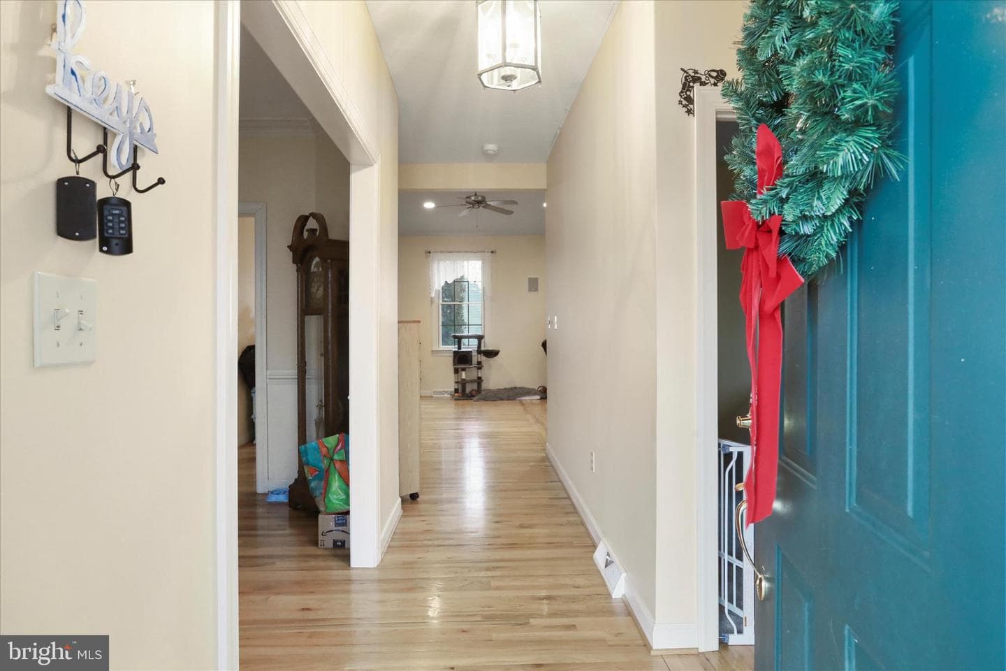 307 Craig Drive photo 4