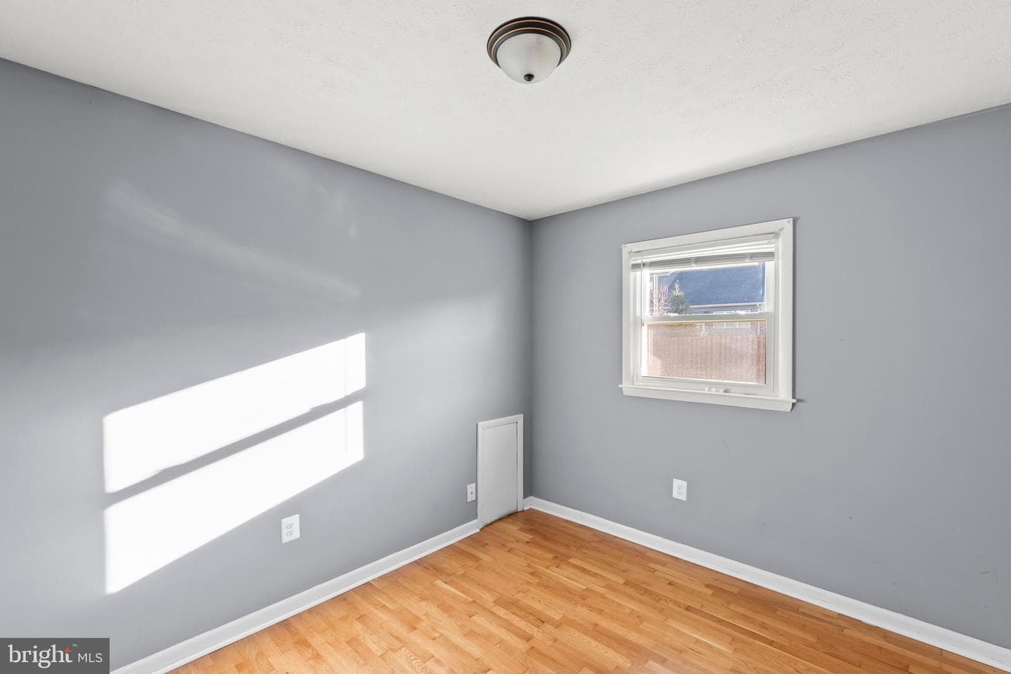 126 Plainfield Drive photo 13