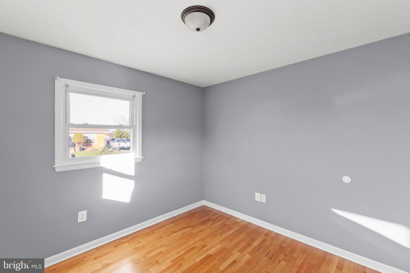126 Plainfield Drive photo 19