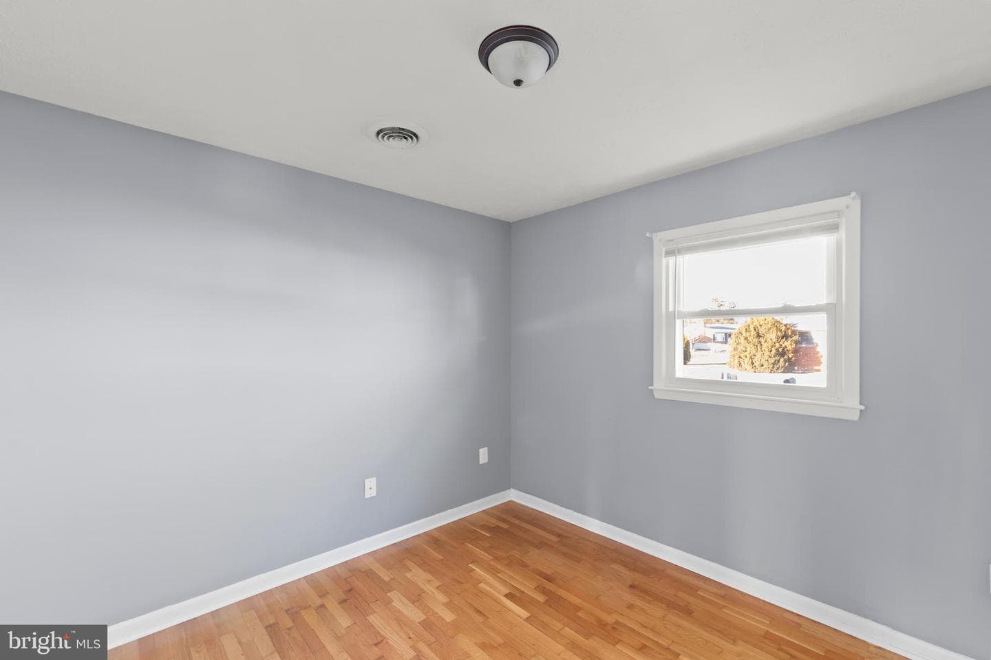 126 Plainfield Drive photo 21