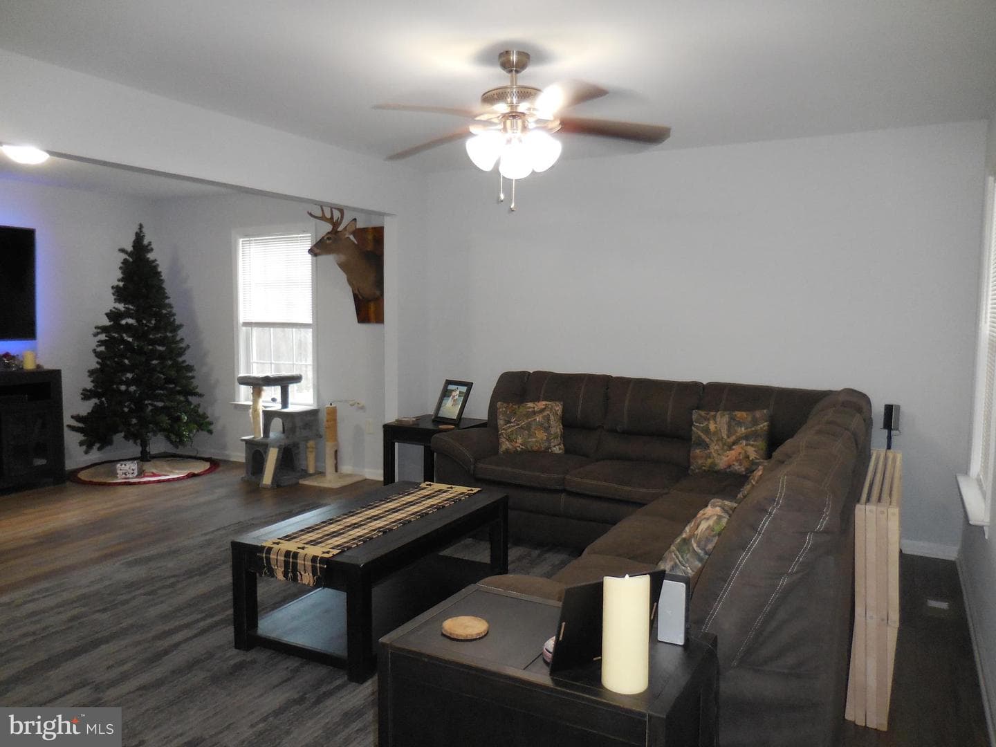 313 Beaver Trail photo 11