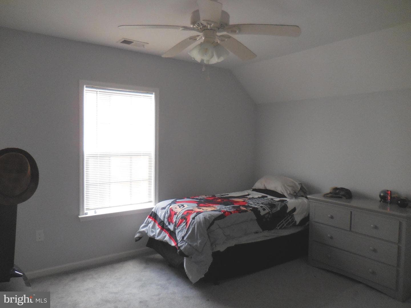 313 Beaver Trail photo 32