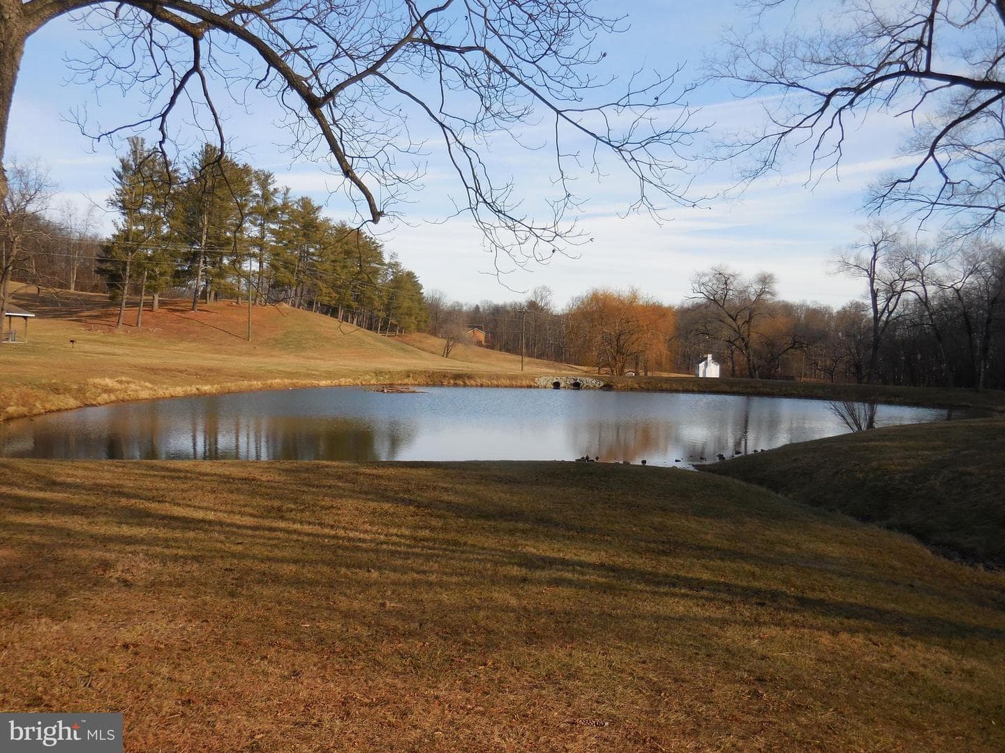 313 Beaver Trail photo 54