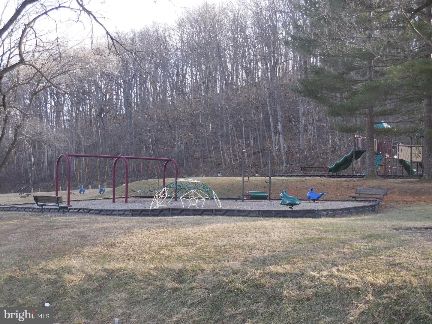 313 Beaver Trail photo 55