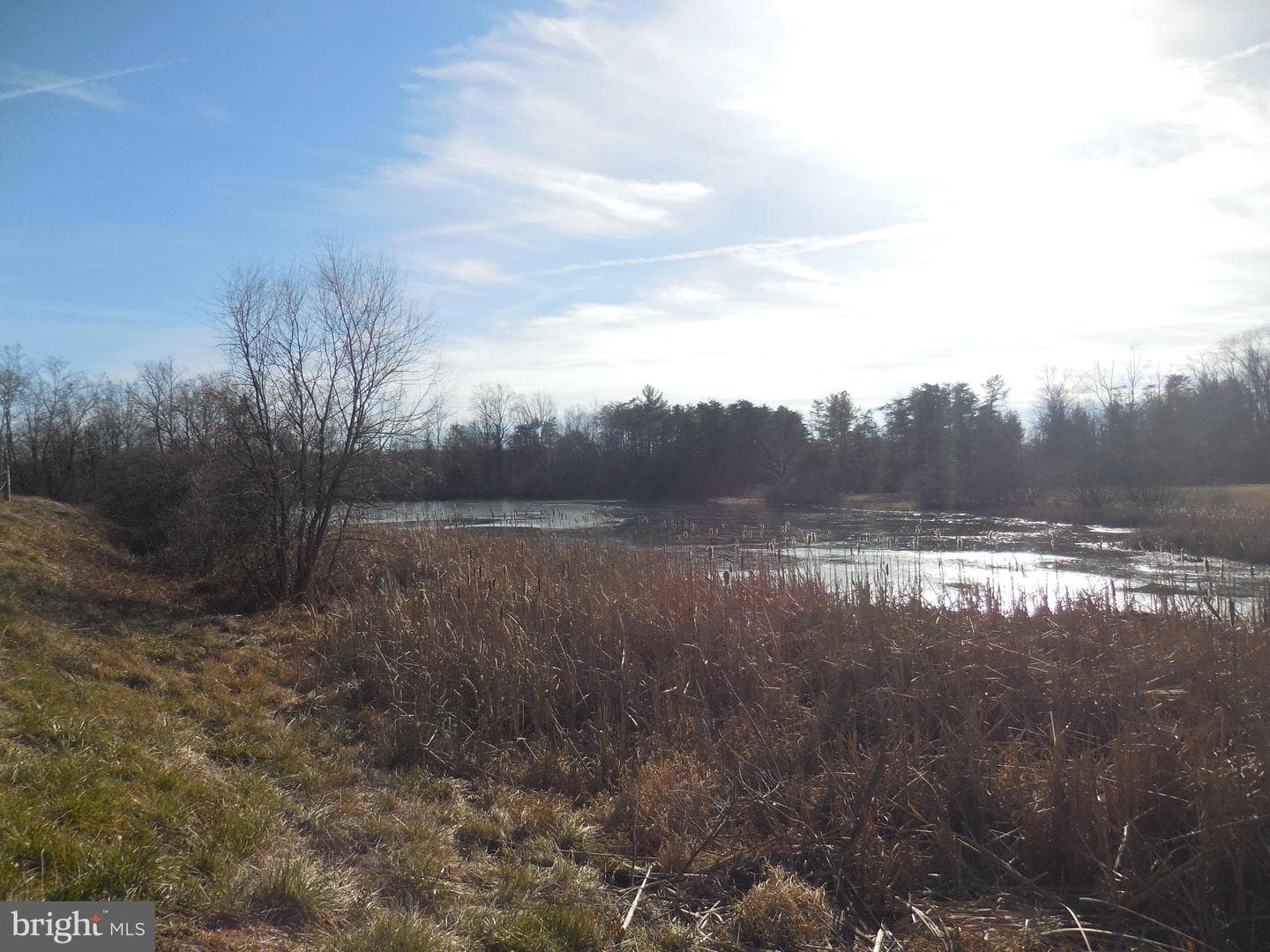 313 Beaver Trail photo 65