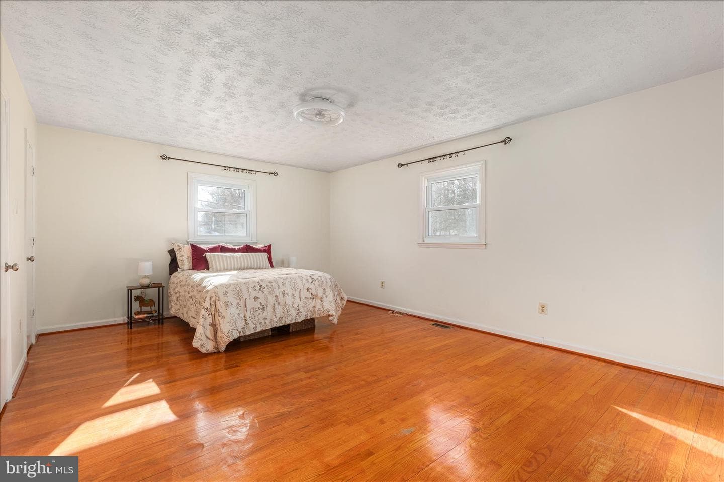 113 Williamson Road photo 11