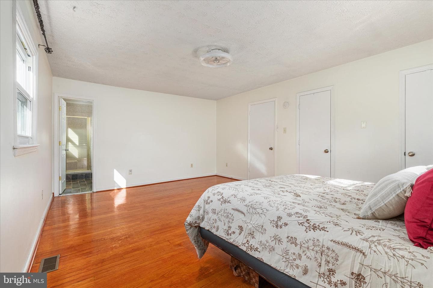 113 Williamson Road photo 12