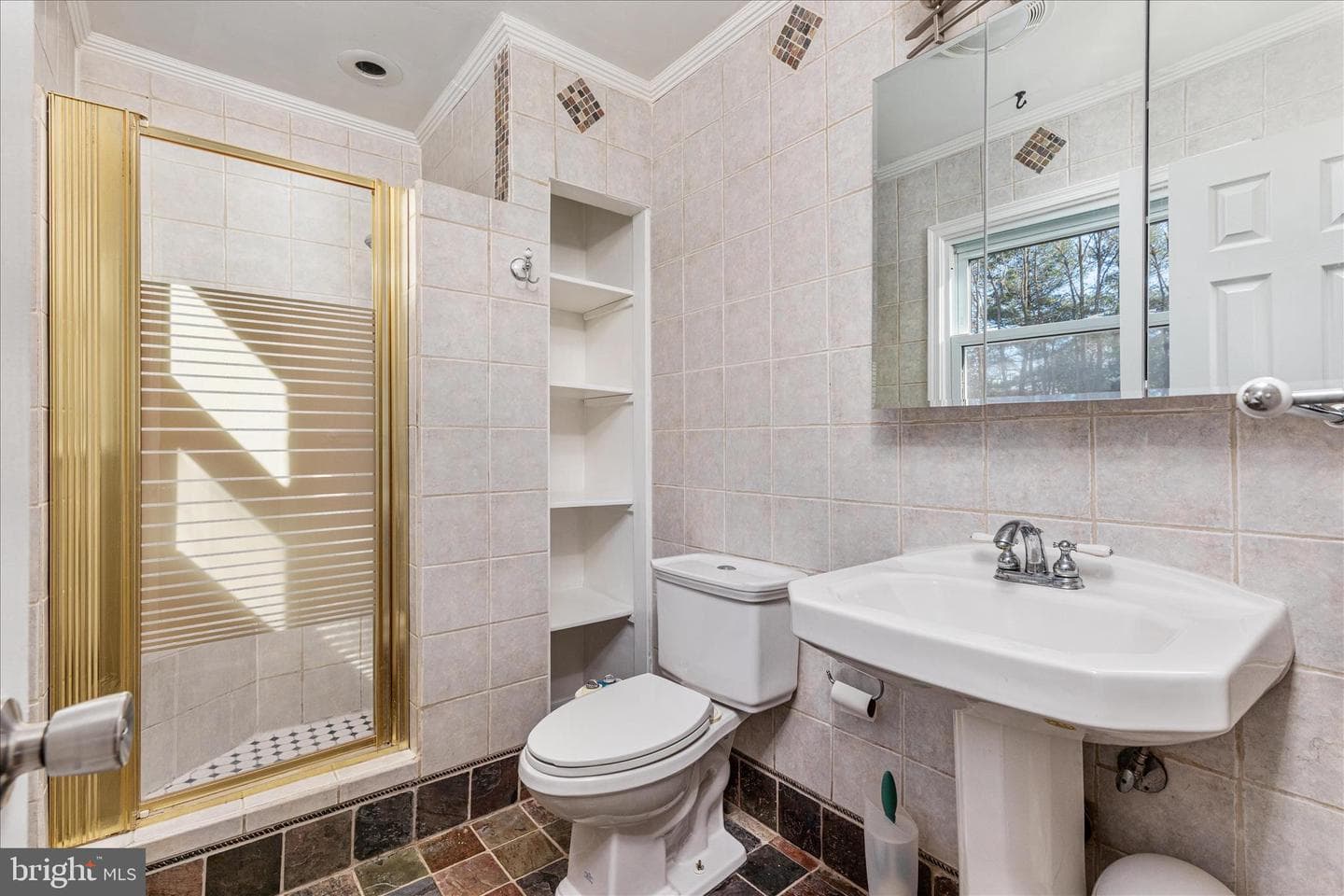 113 Williamson Road photo 13