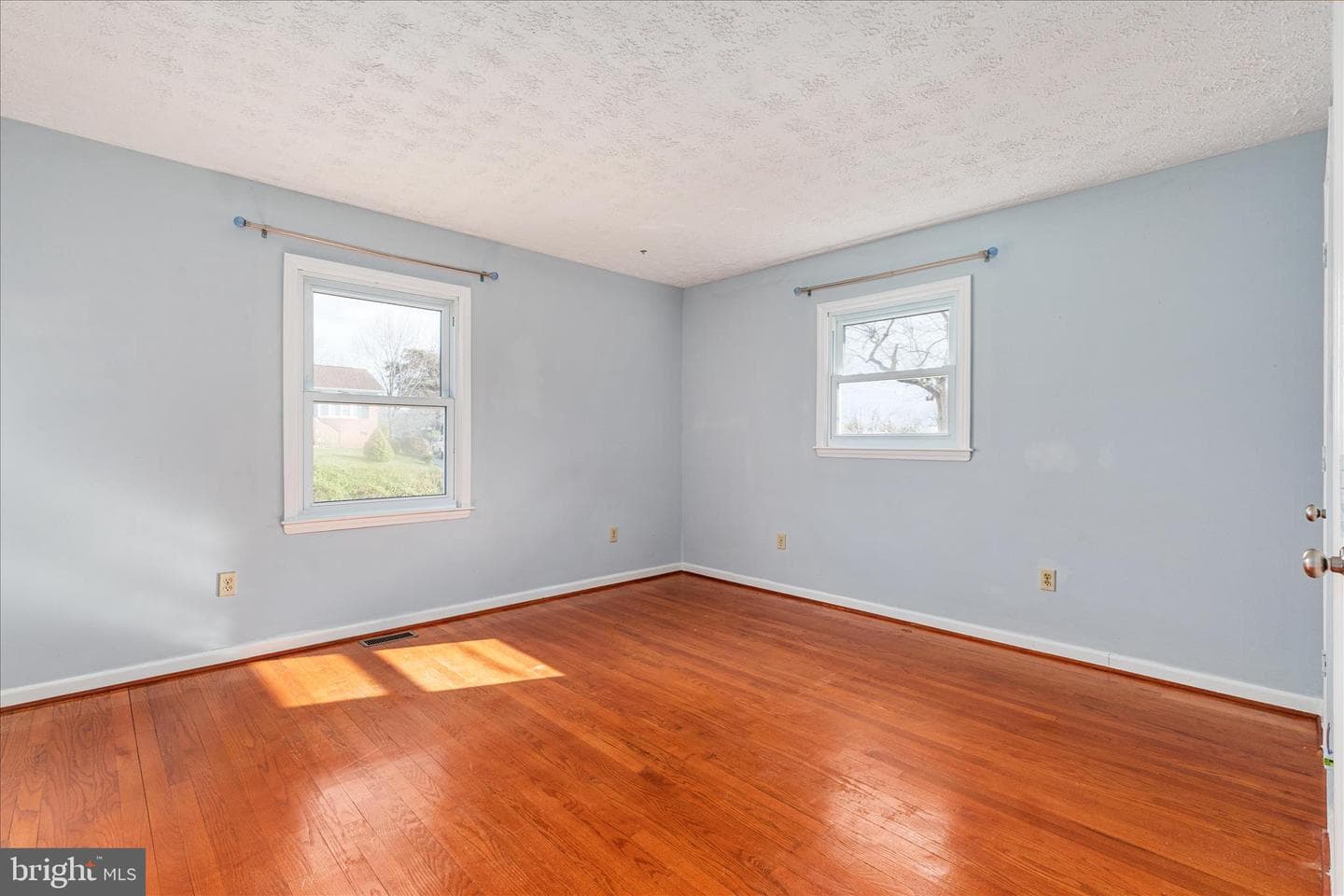 113 Williamson Road photo 15