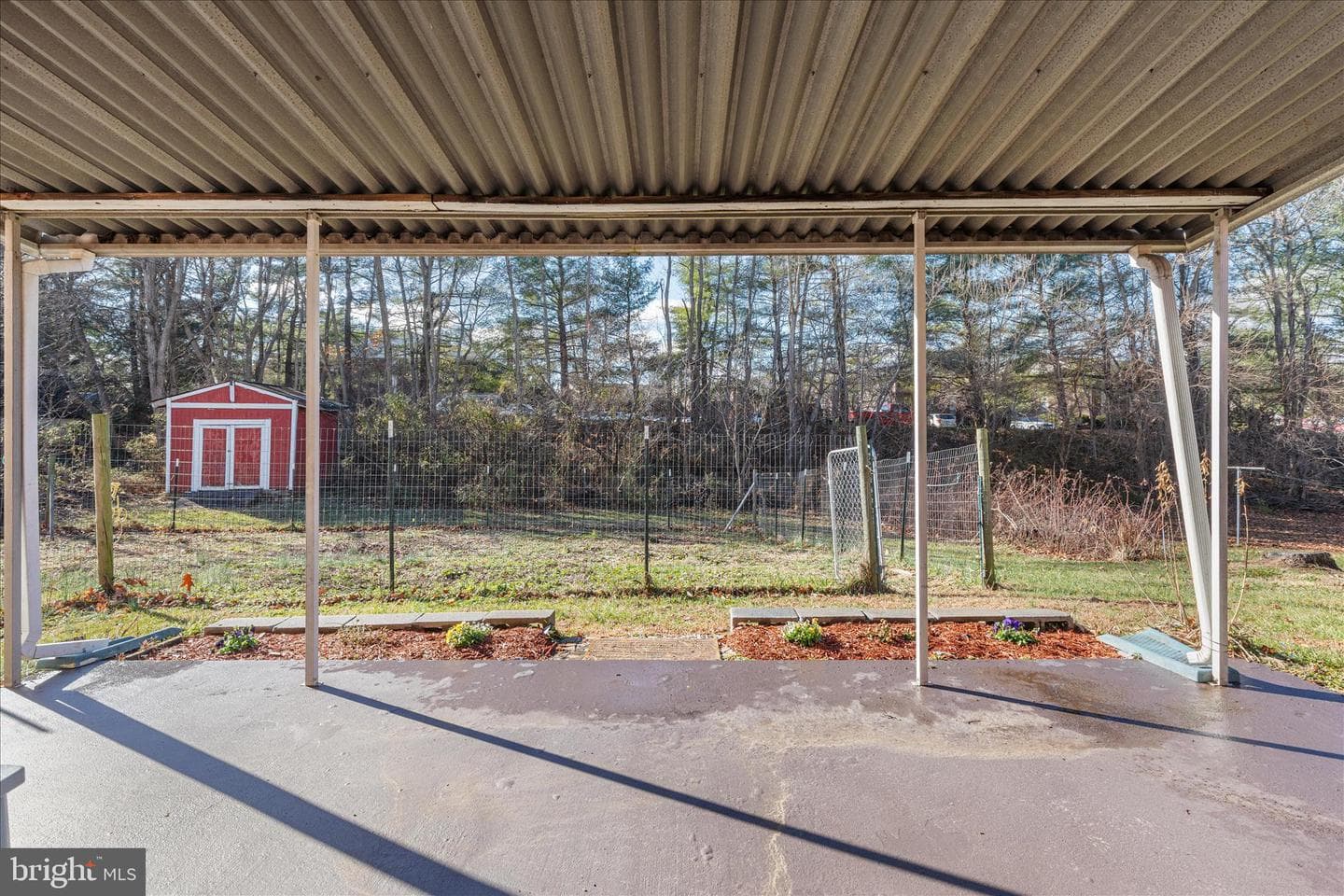 113 Williamson Road photo 19