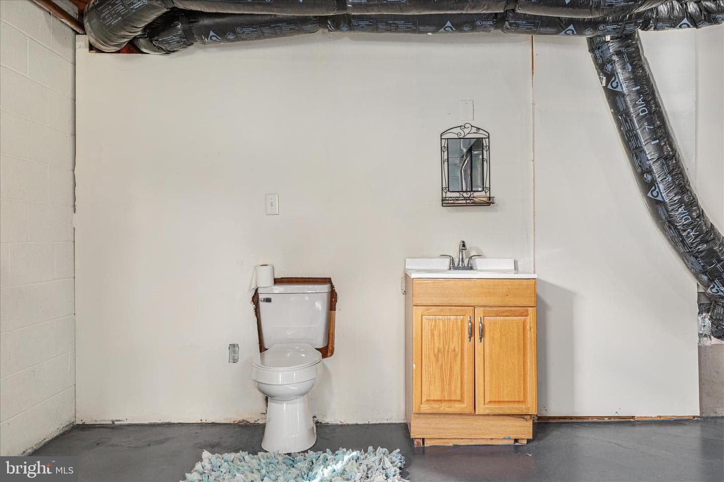 113 Williamson Road photo 22