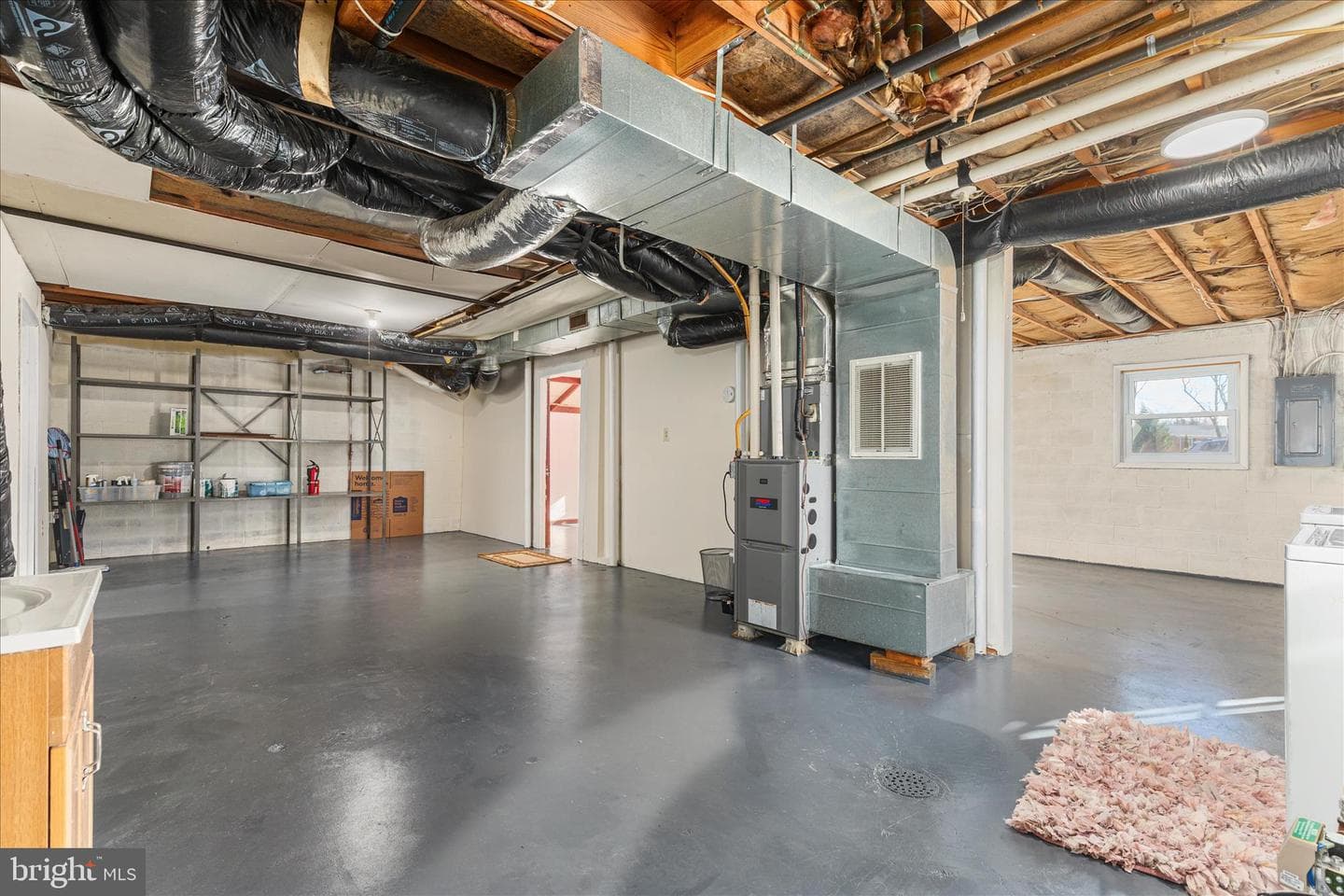 113 Williamson Road photo 28