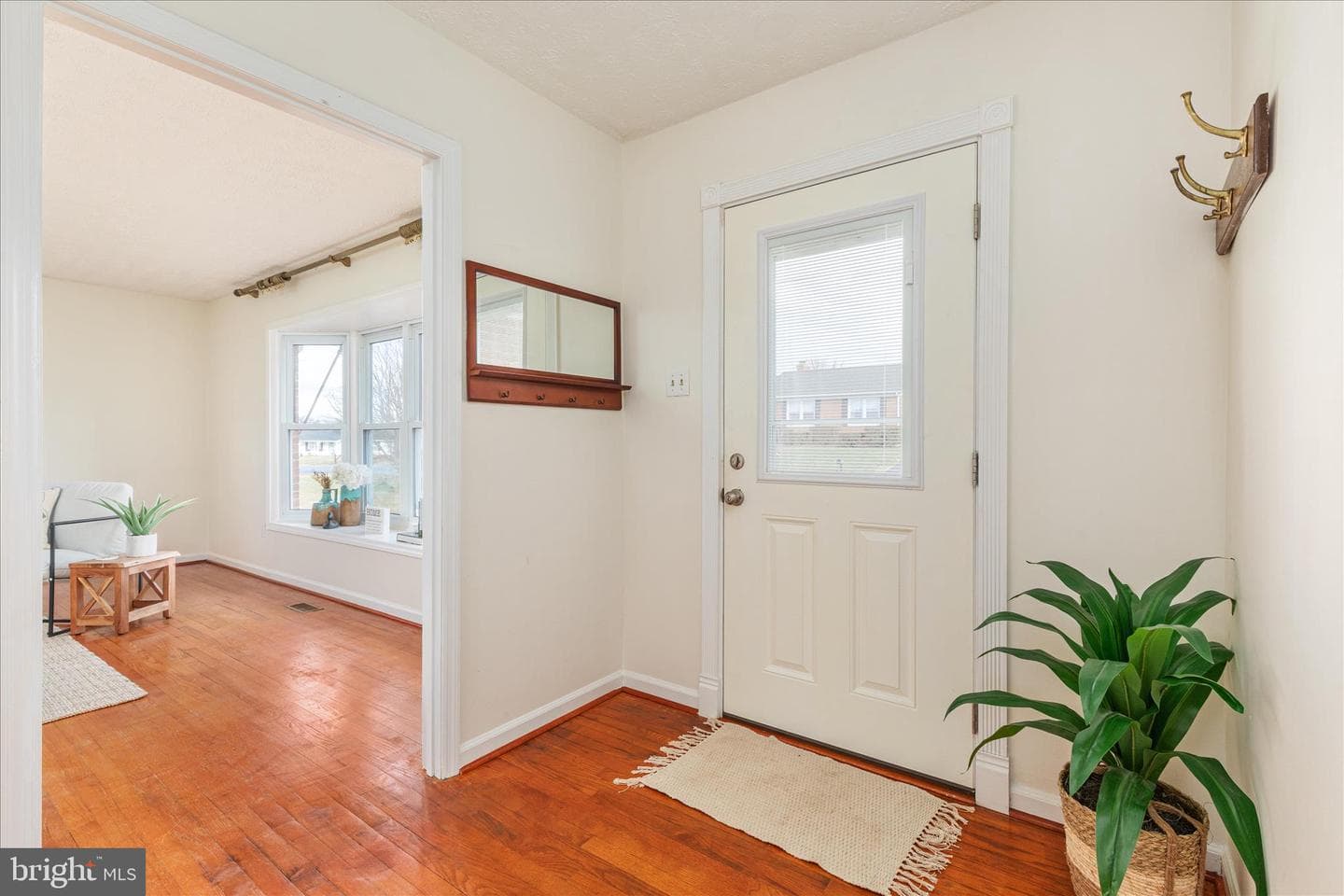 113 Williamson Road photo 3