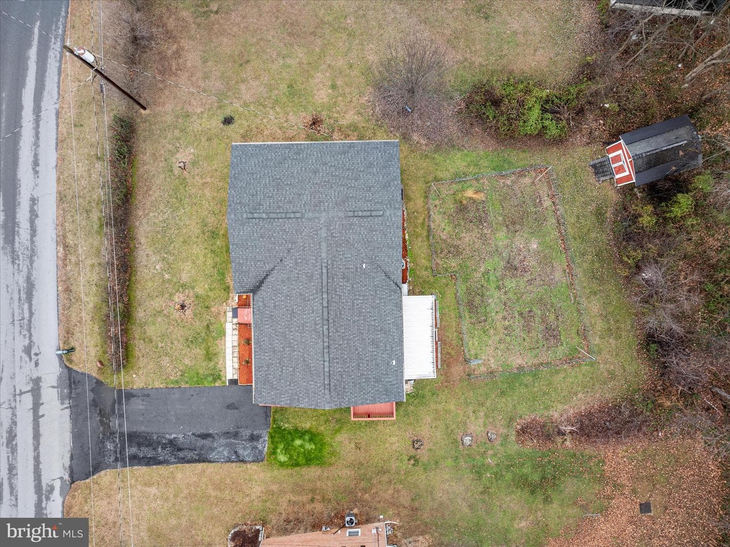 113 Williamson Road photo 35