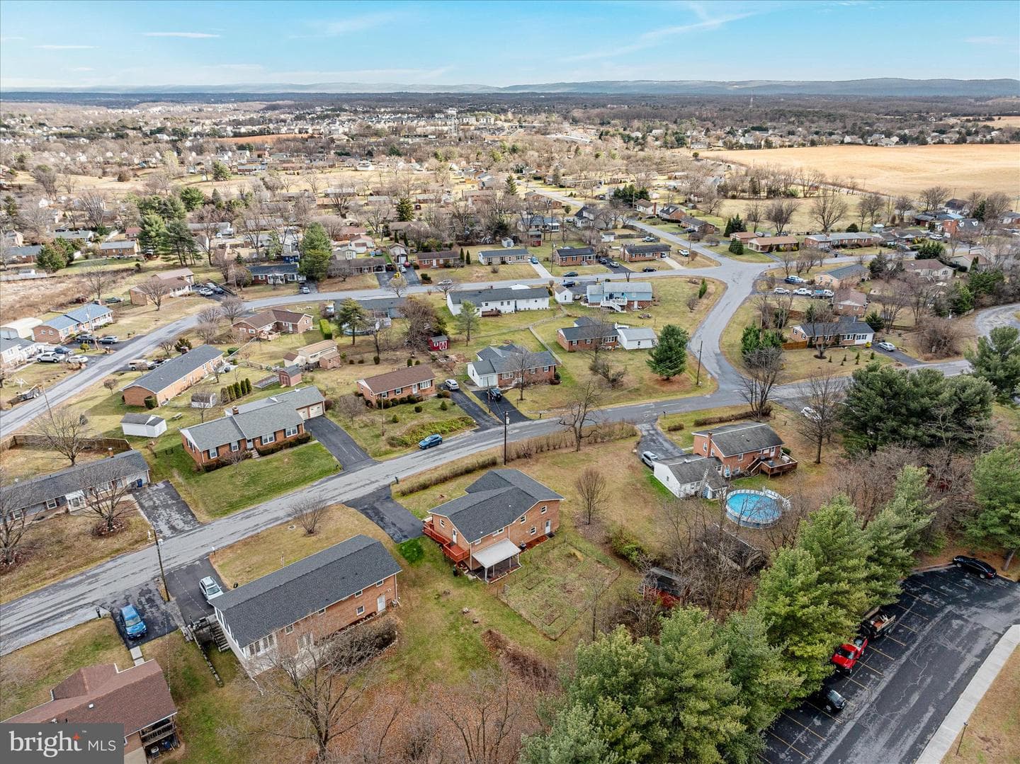 113 Williamson Road photo 38
