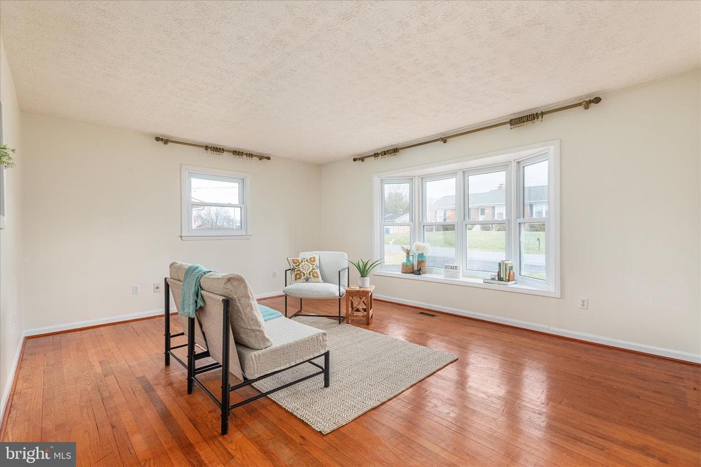 113 Williamson Road photo 8