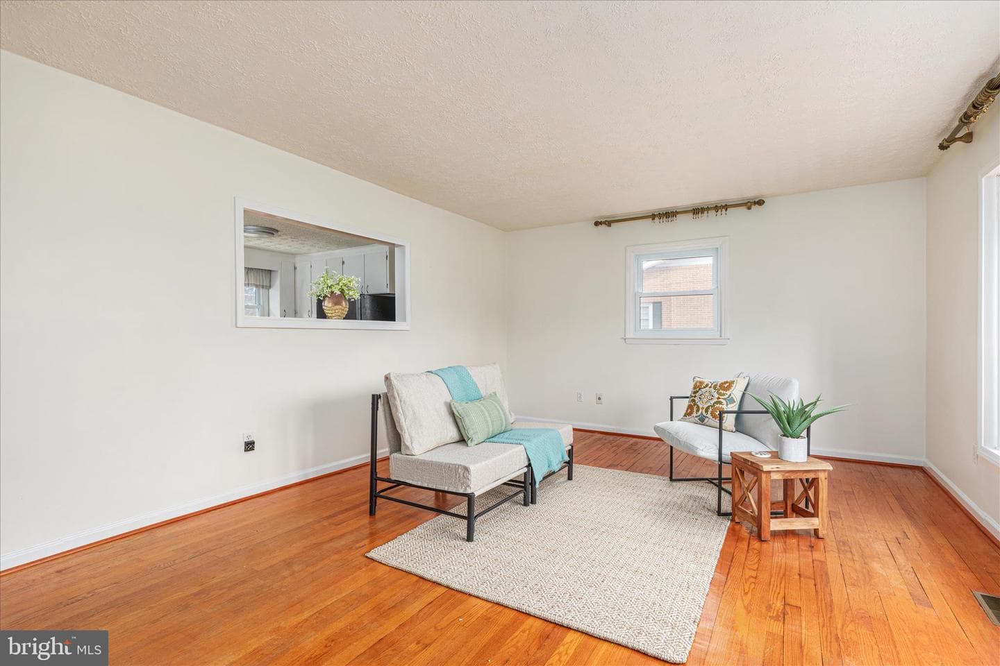 113 Williamson Road photo 9