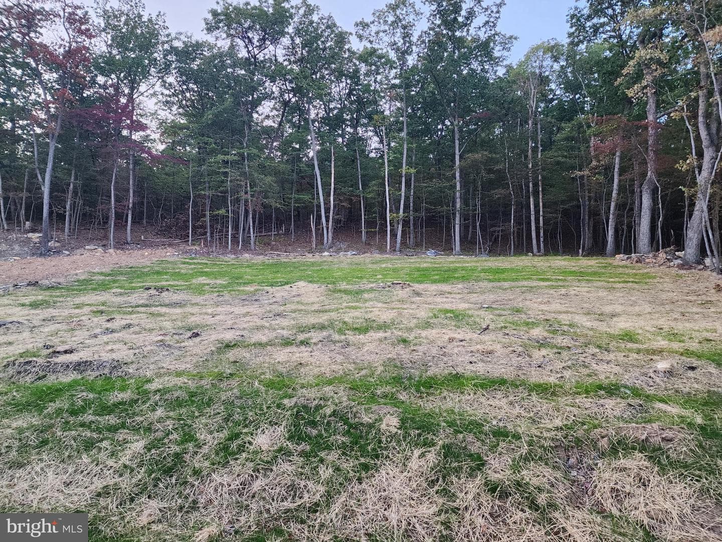107 Arbutis Trail photo 21