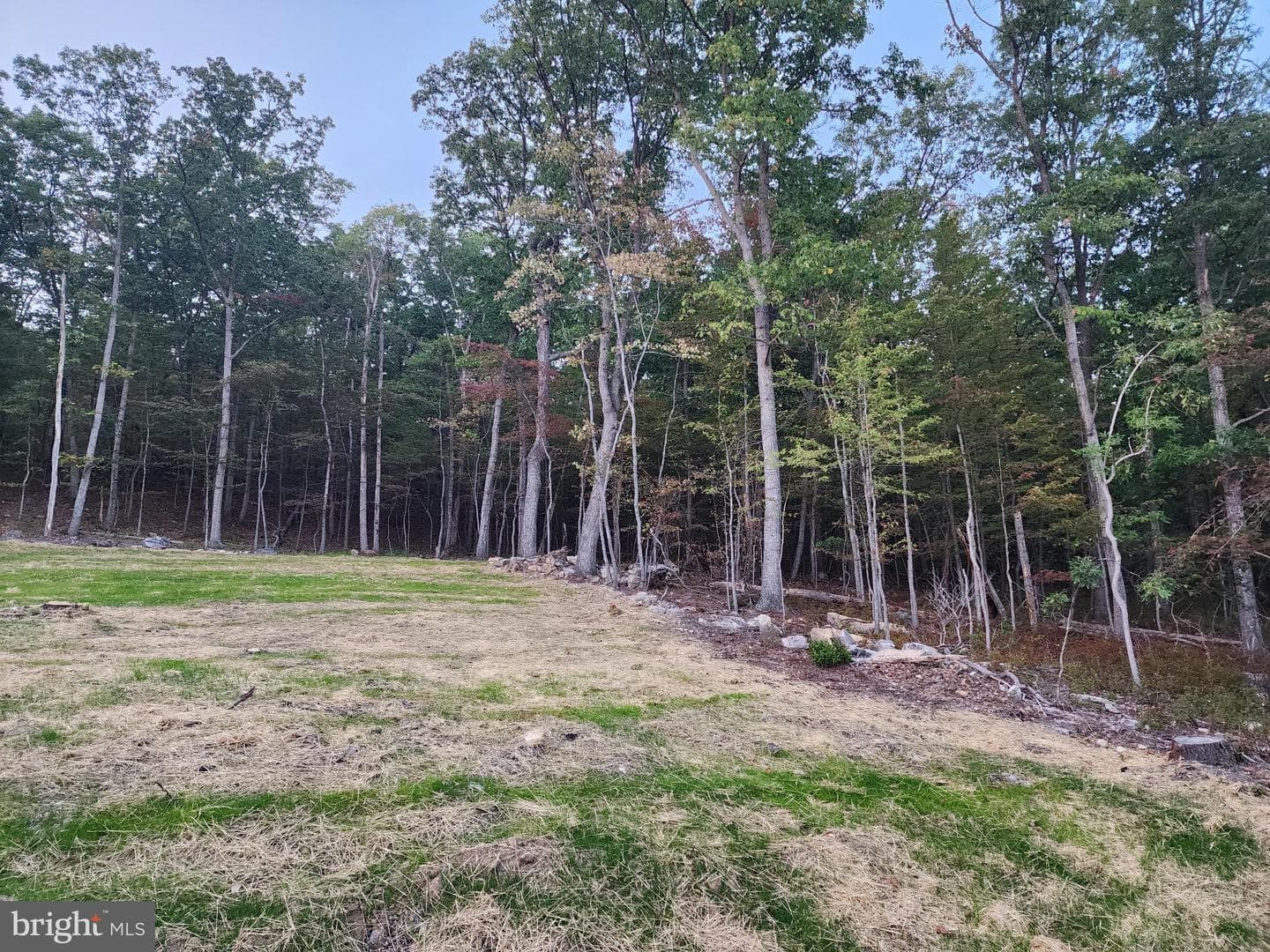 107 Arbutis Trail photo 22
