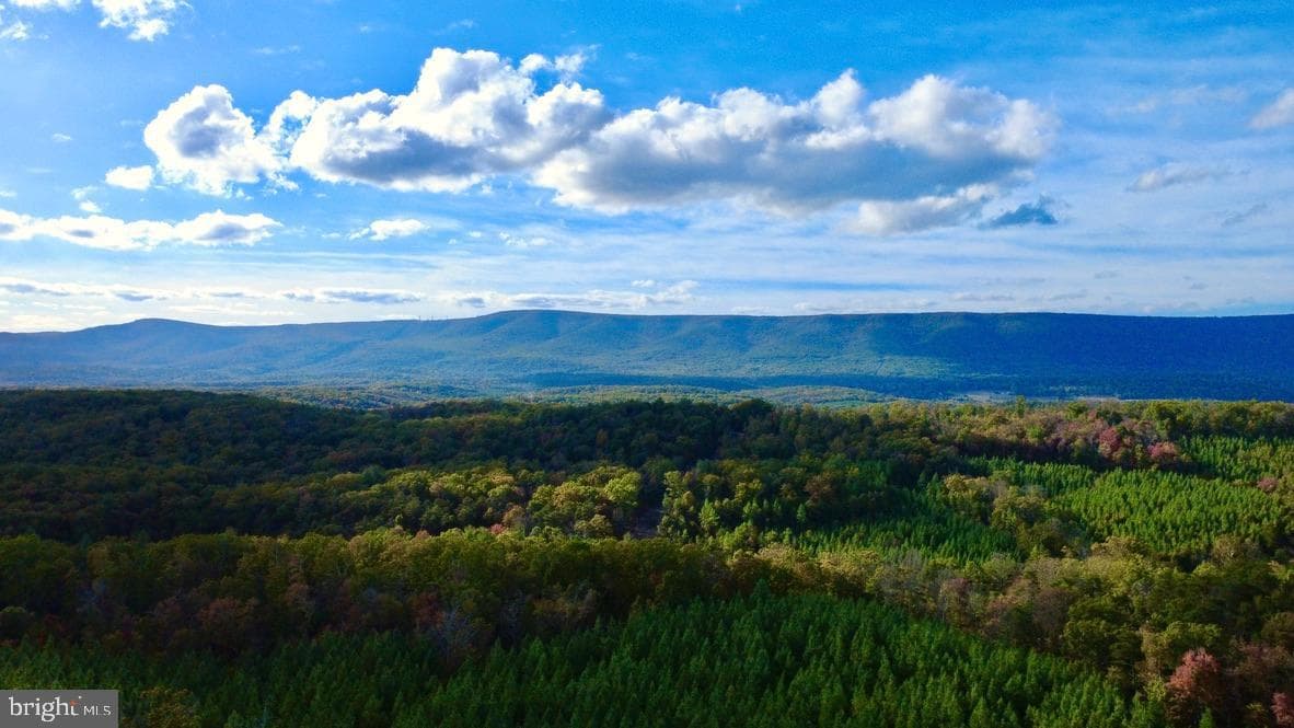 152.44 Acres Lot 2 Laurel Grove Road photo 3