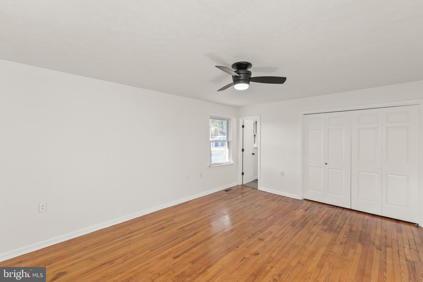 120 Amelia Avenue photo 20