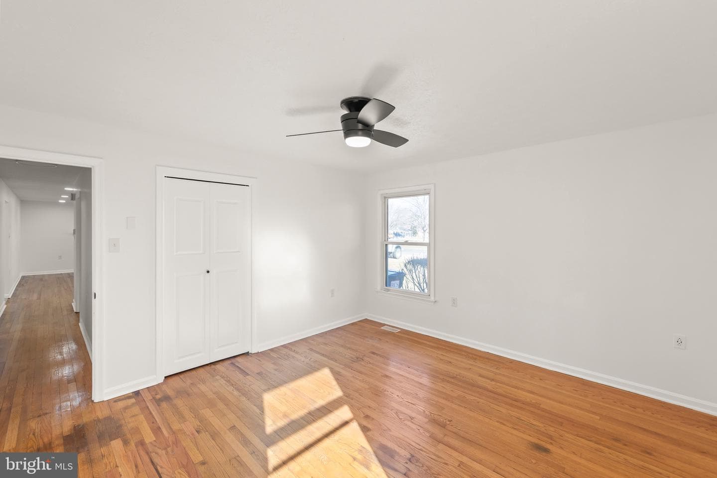 120 Amelia Avenue photo 23