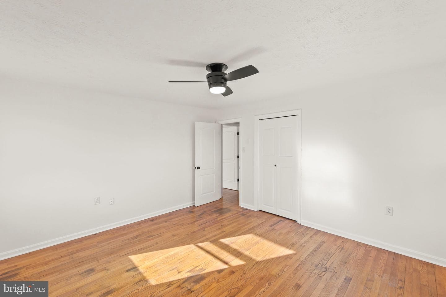 120 Amelia Avenue photo 24