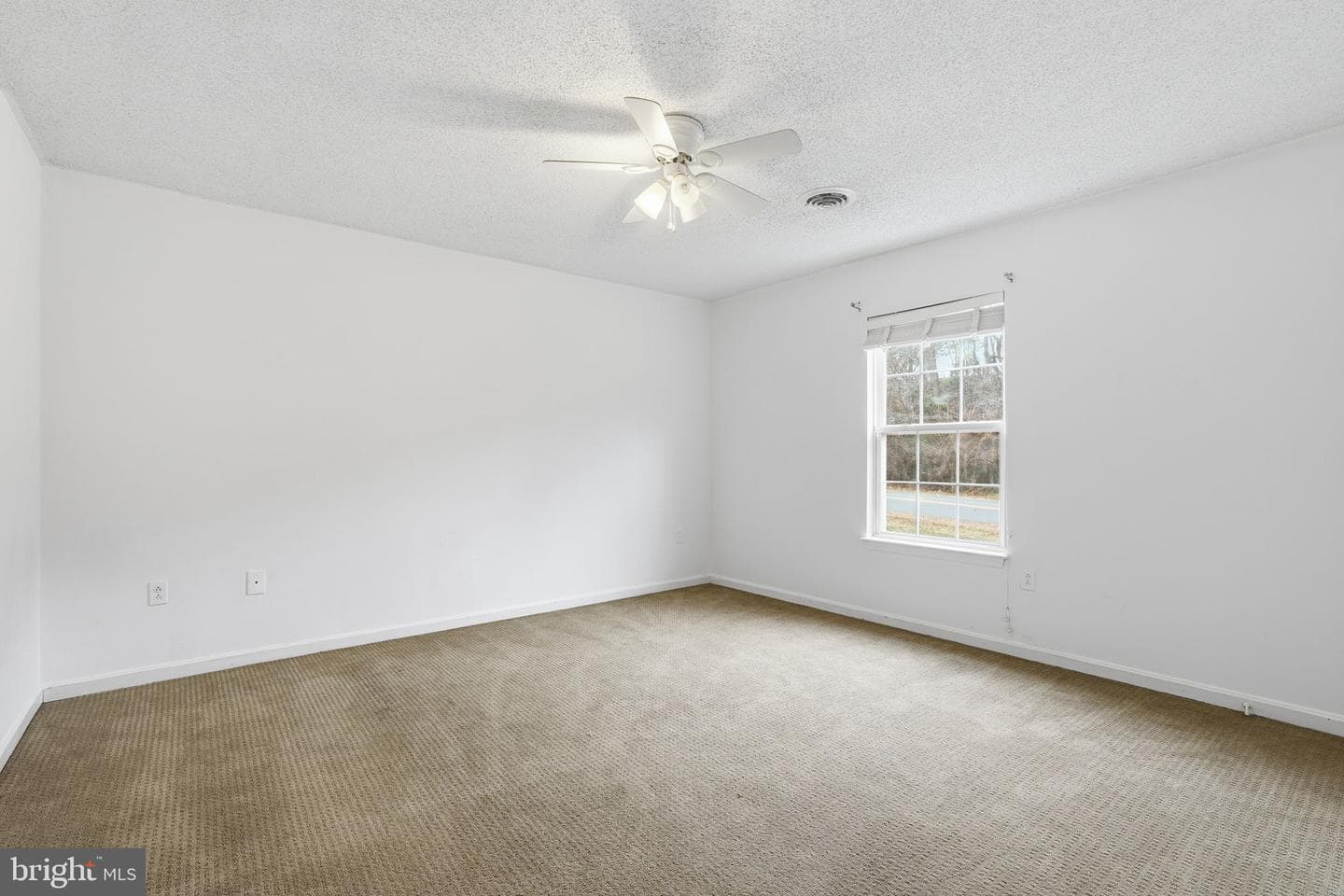 110 Rugby Place photo 19