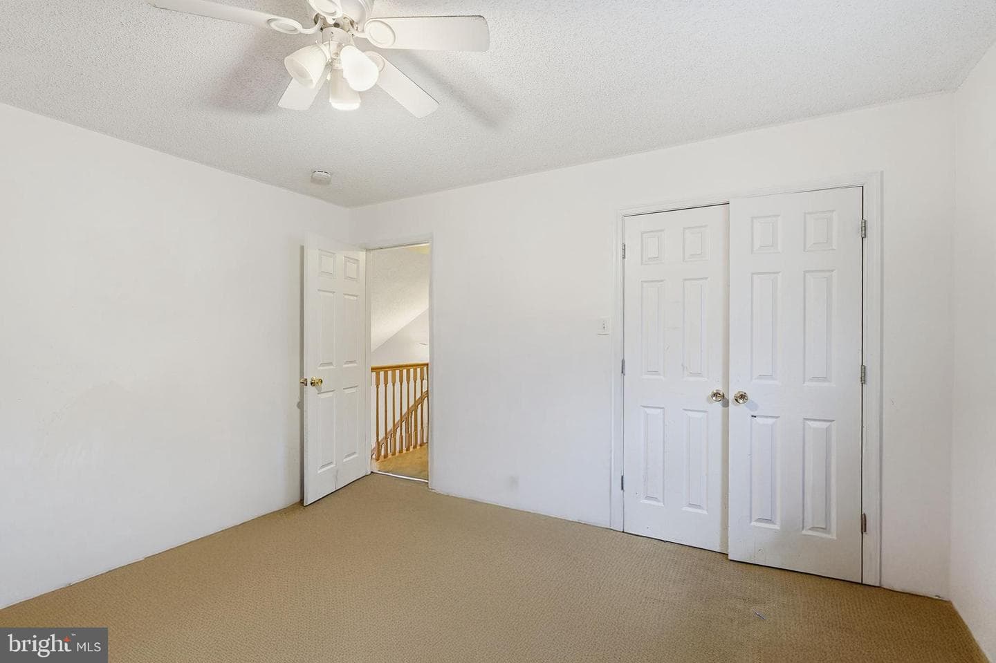 110 Rugby Place photo 20
