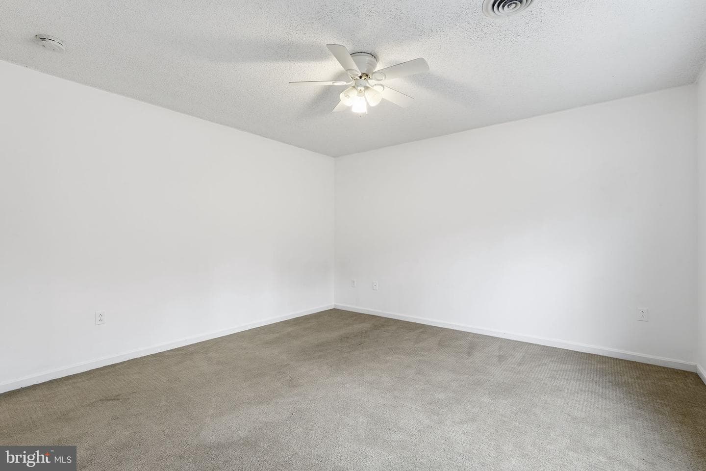 110 Rugby Place photo 23