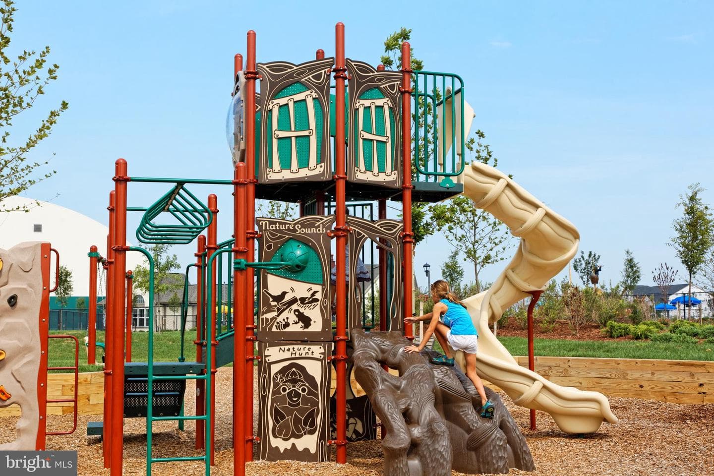141 Bamboo Shoot Lane #homesite 2342 photo 34