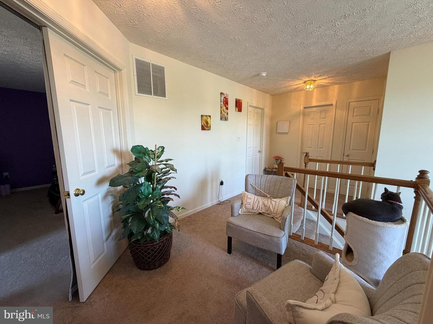 407 Tamarack Circle photo 20