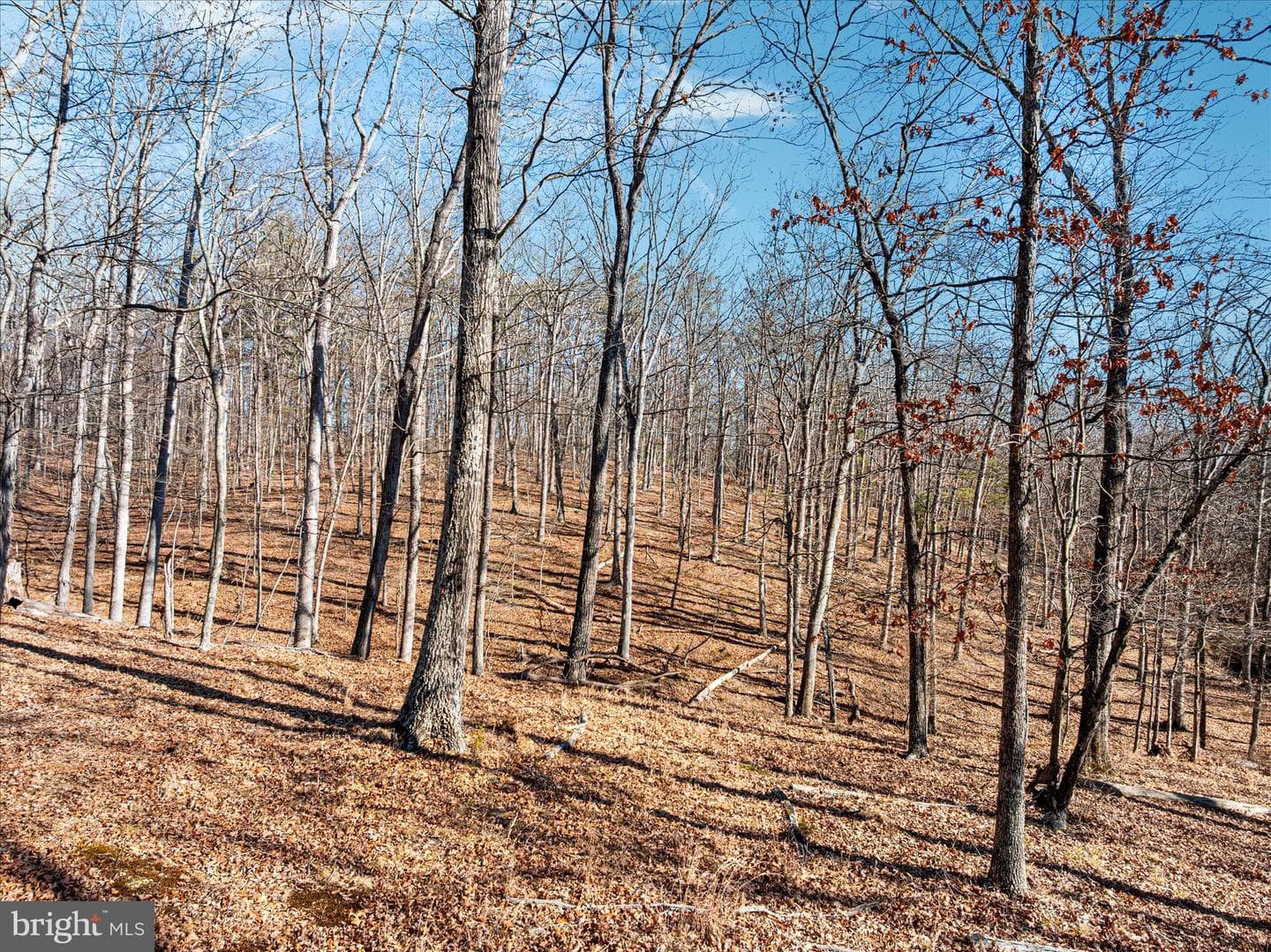 1990 Collinsville Road photo 5