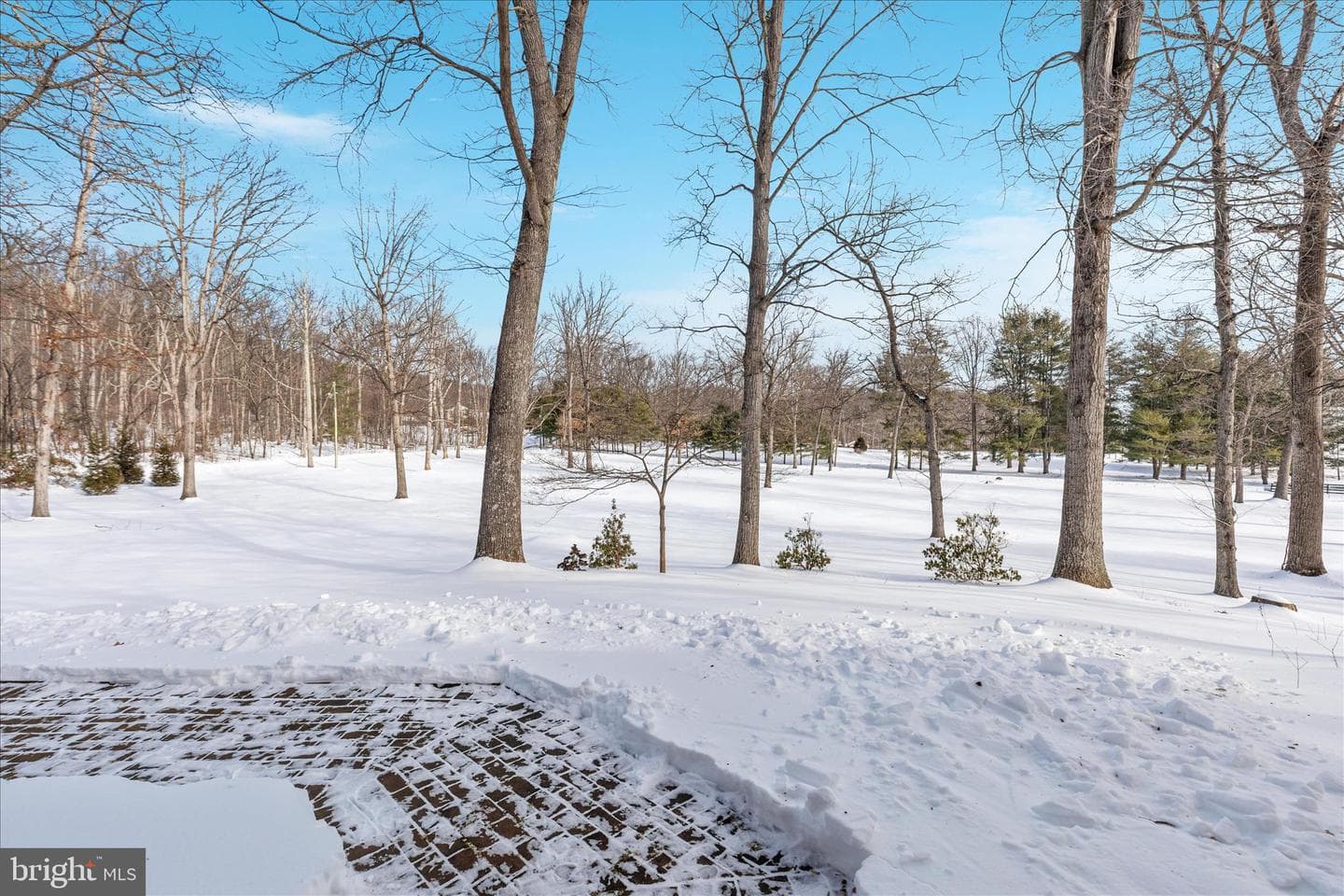 227 Dutch Apple Drive photo 35