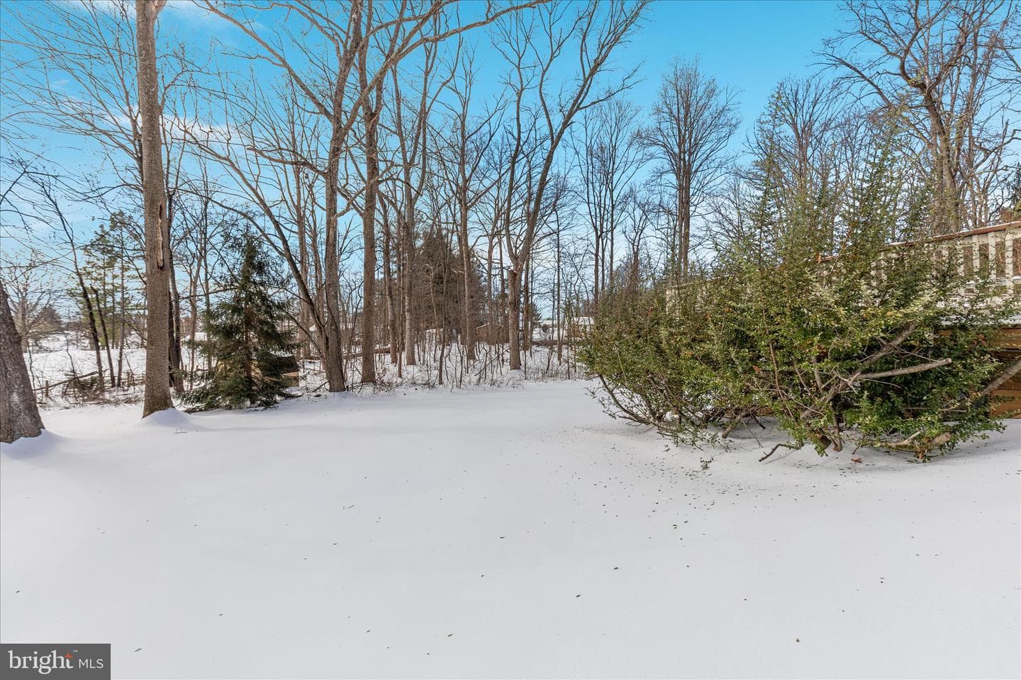 227 Dutch Apple Drive photo 41