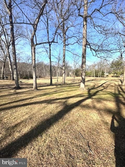 227 Dutch Apple Drive photo 63