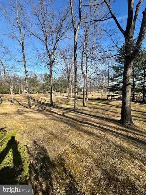 227 Dutch Apple Drive photo 64