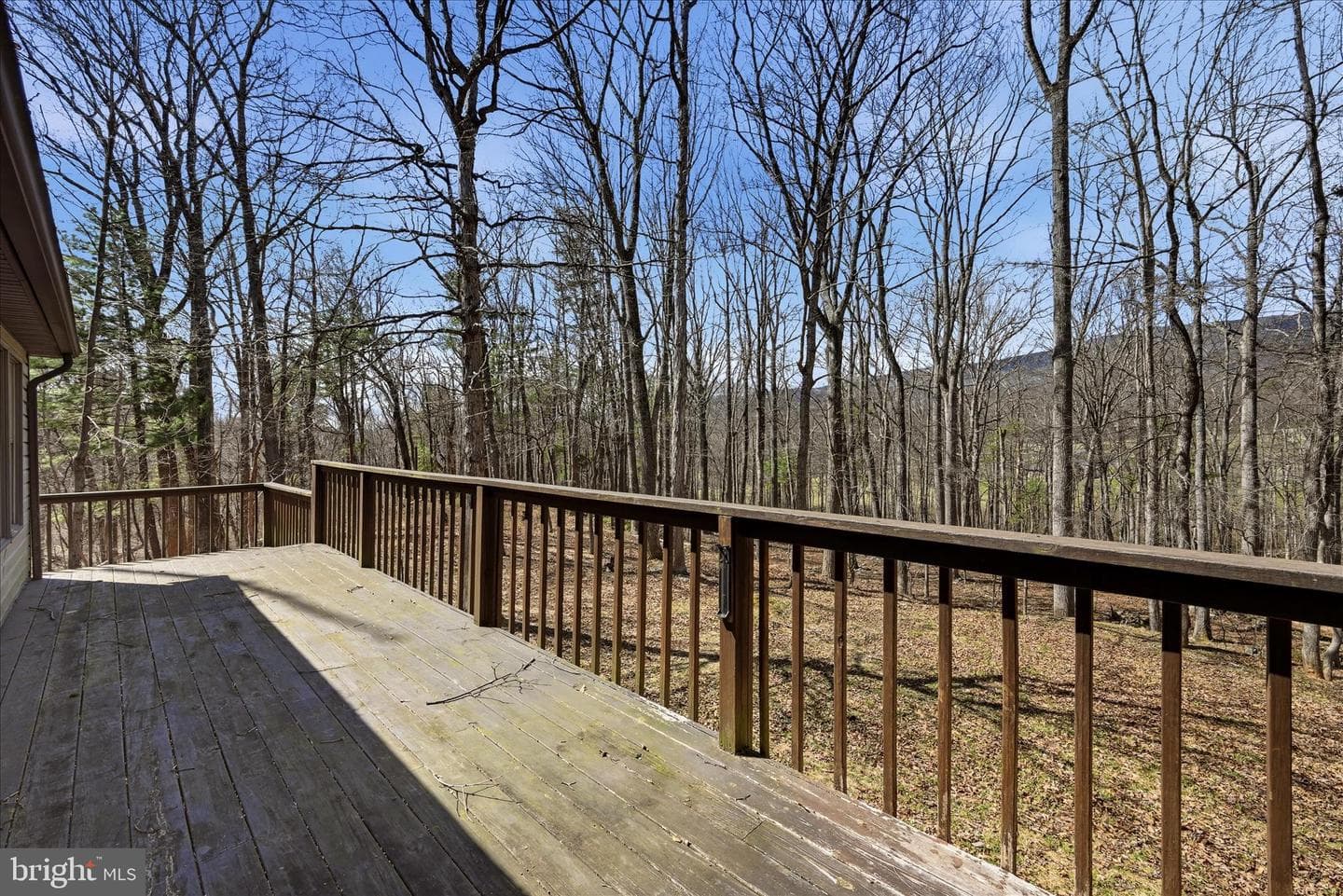 128 Charmwood Lane photo 42