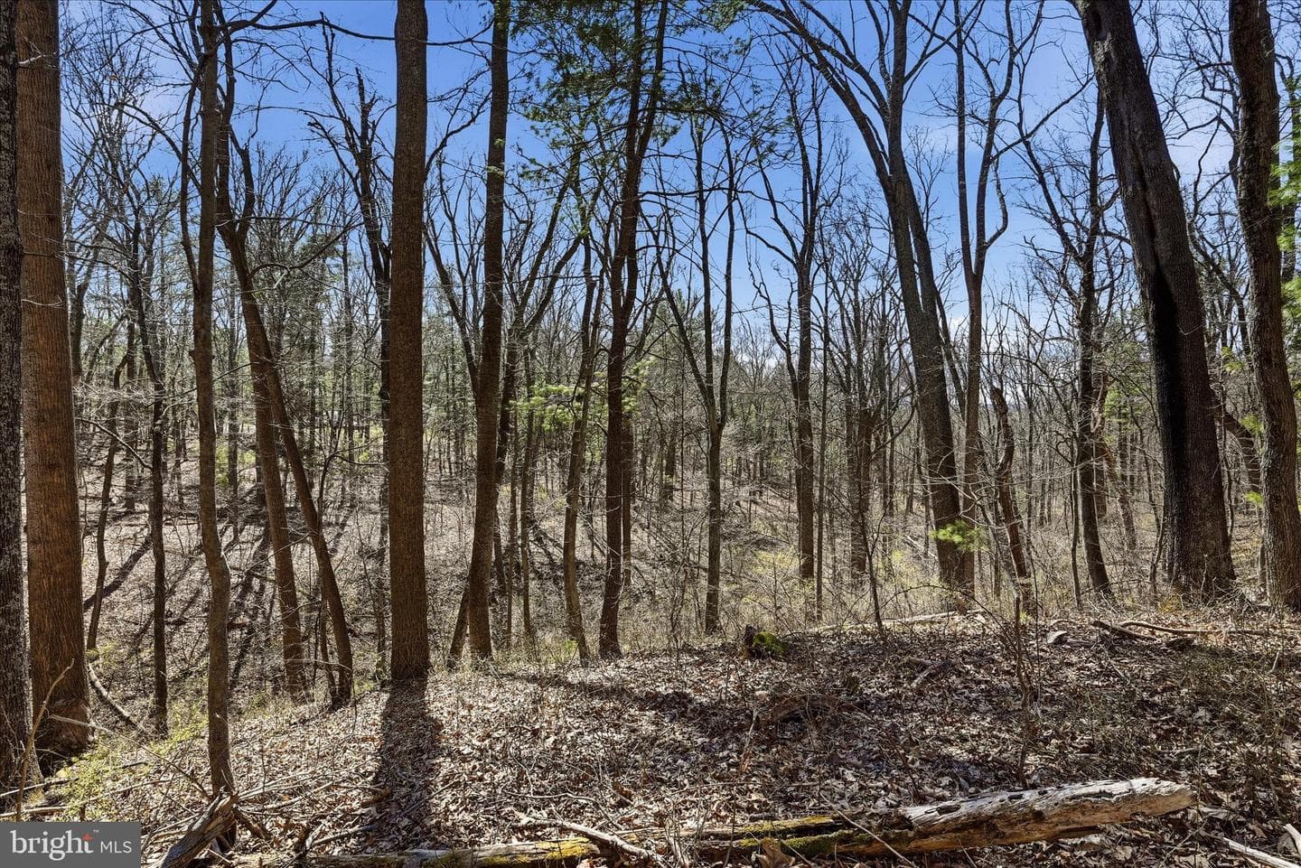 128 Charmwood Lane photo 45