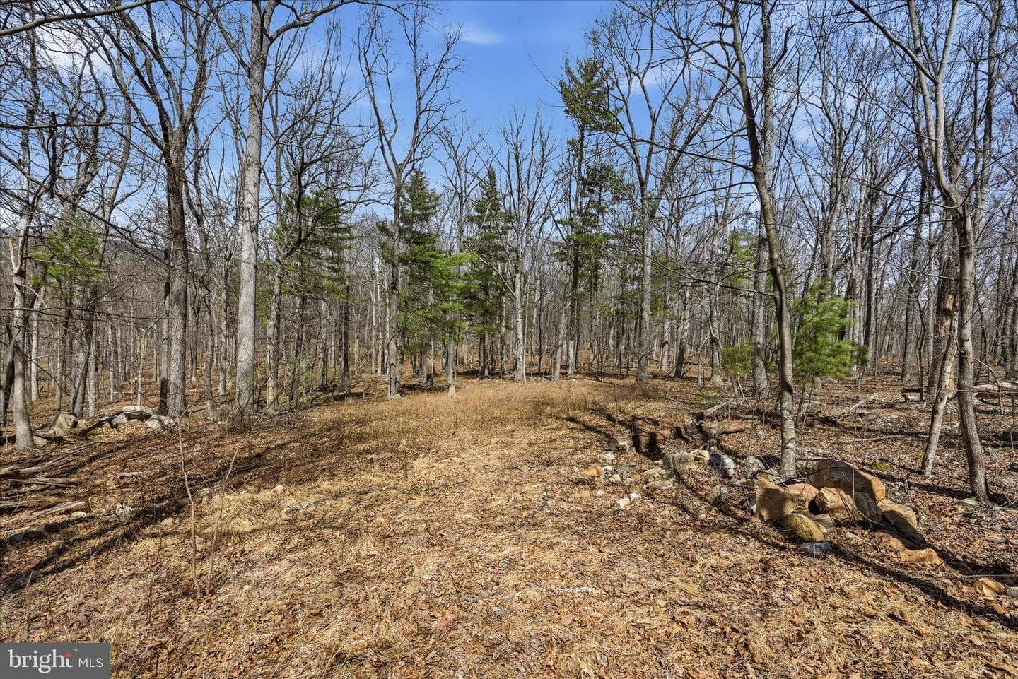 128 Charmwood Lane photo 49
