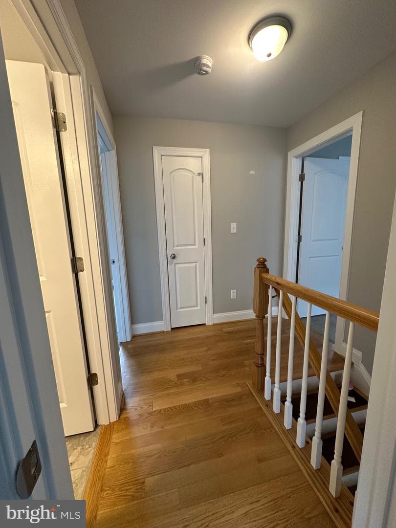 115 Dogwood Trail photo 13
