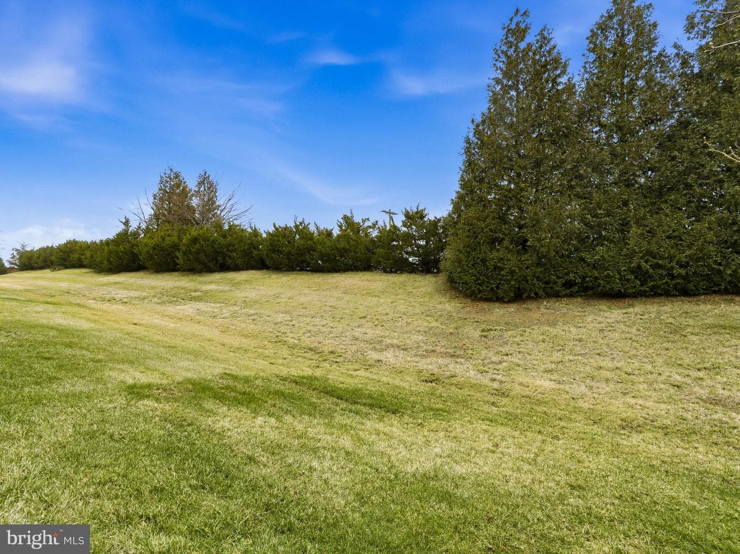111 Bluets Drive photo 31