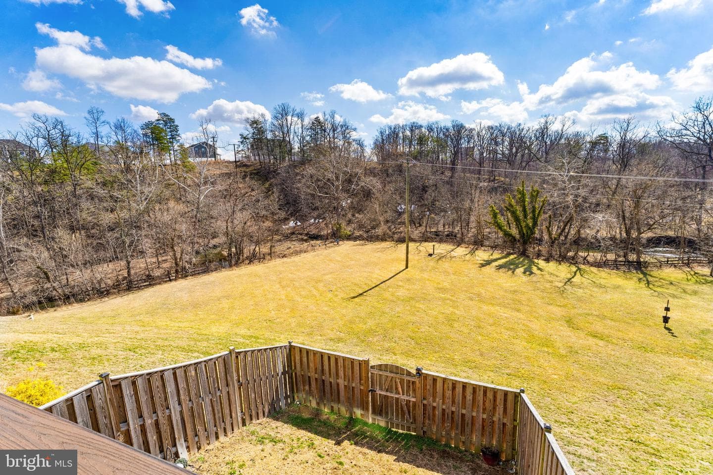 113 Worsham Terrace photo 54