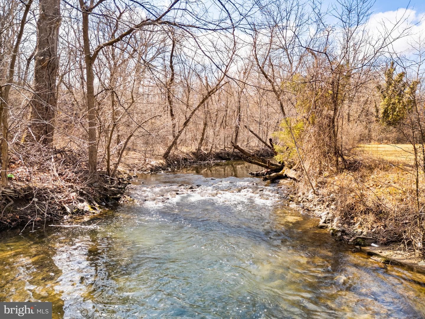 113 Worsham Terrace photo 63