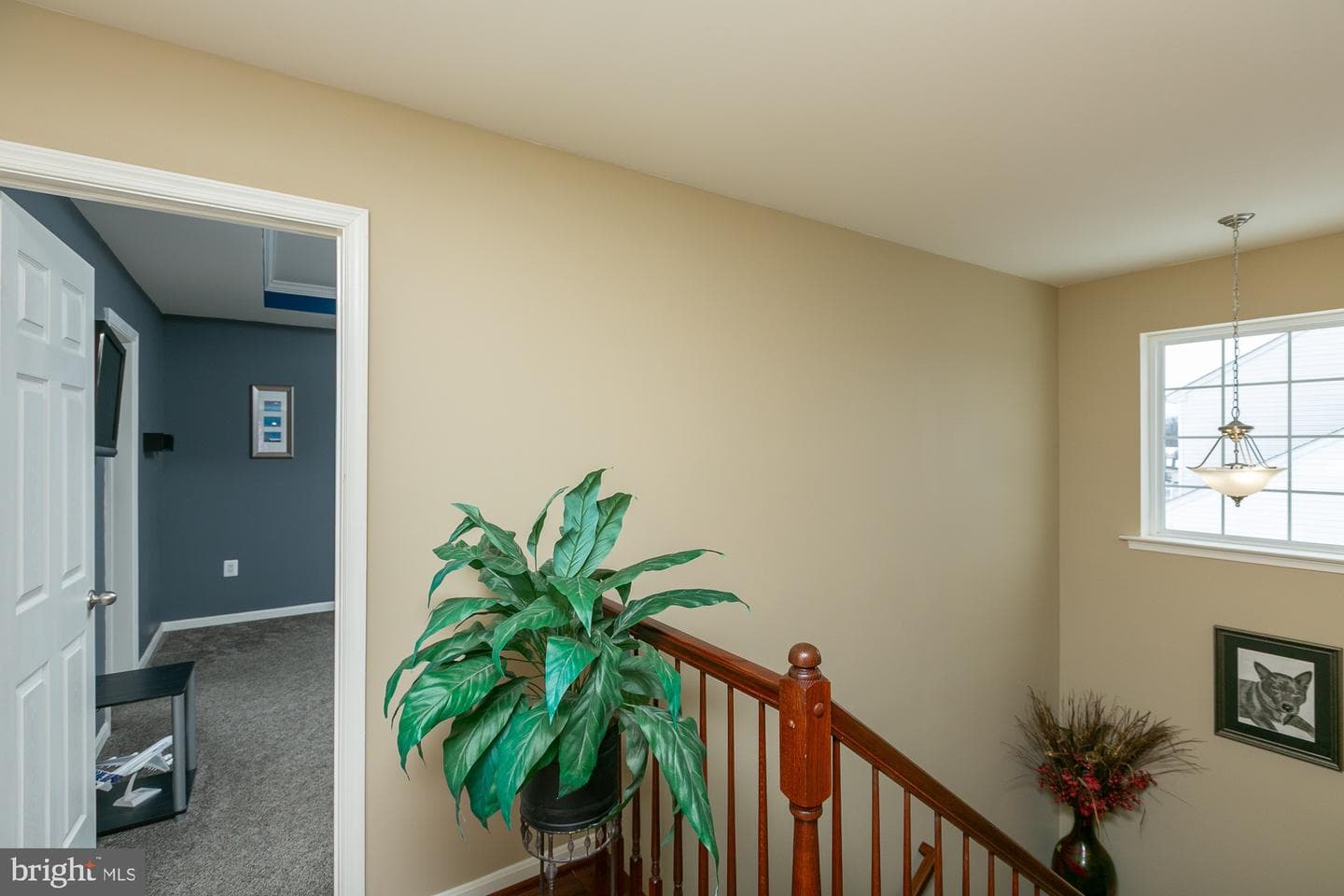 224 Morlyn Drive photo 34