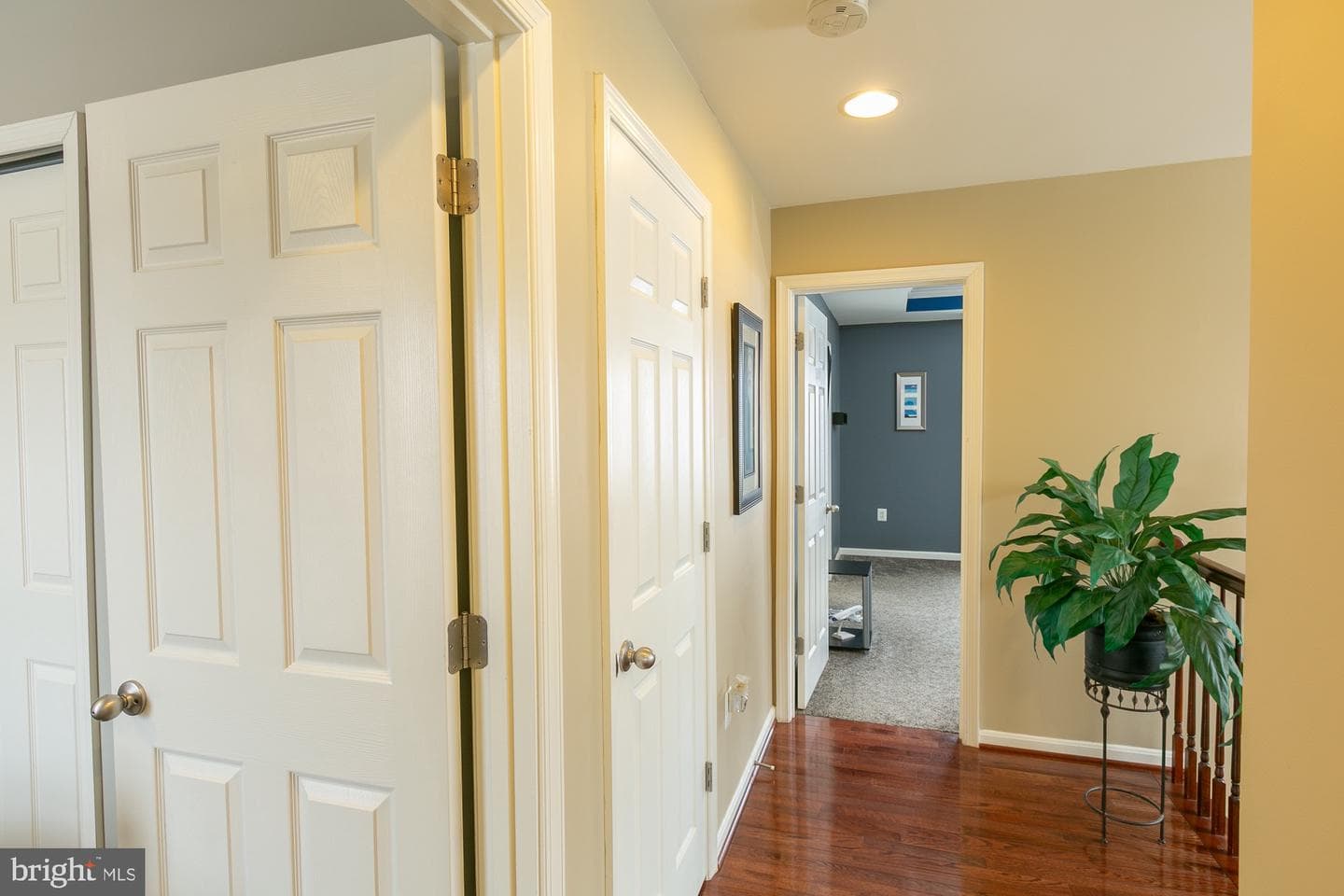 224 Morlyn Drive photo 52