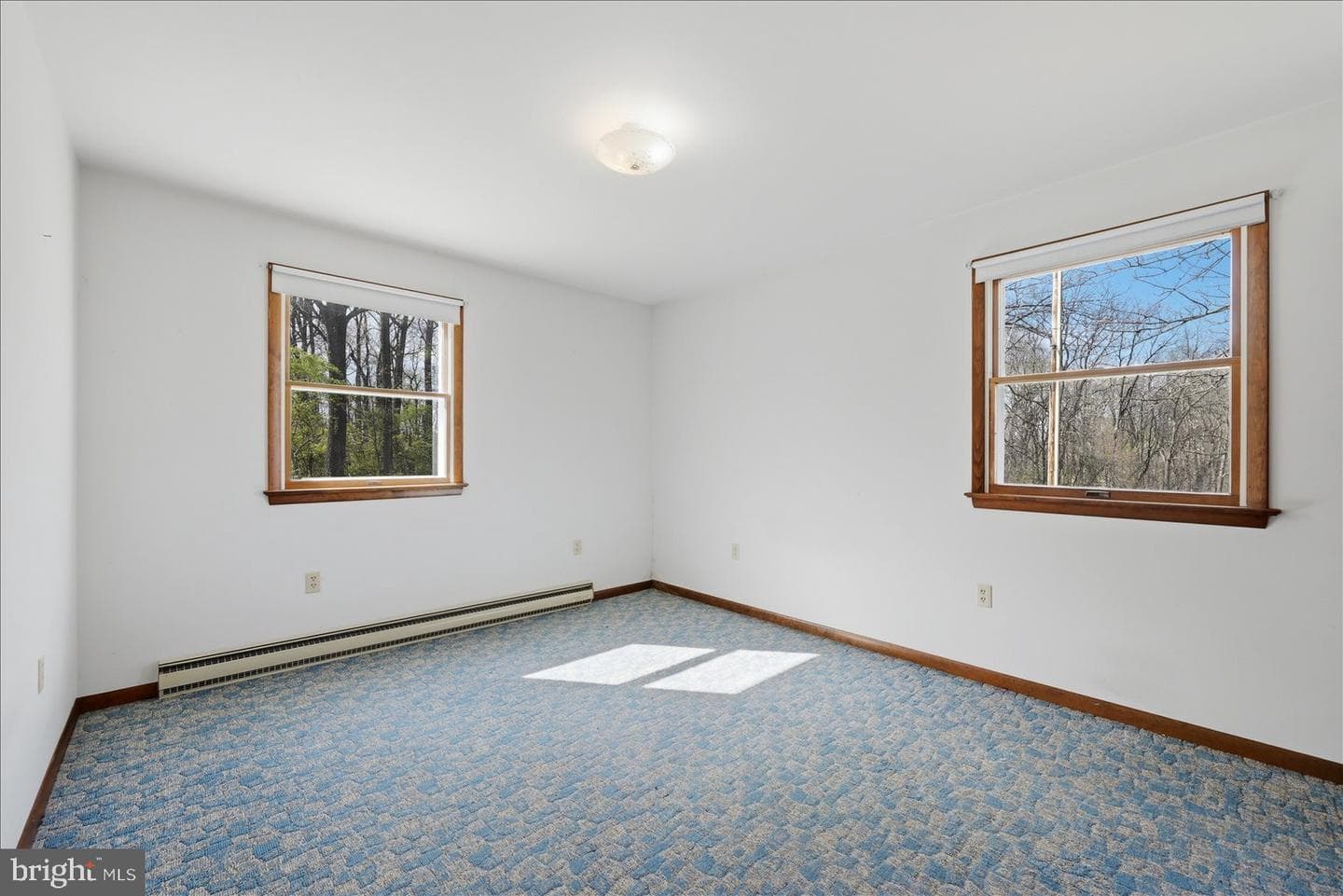 891 Payne Road photo 48