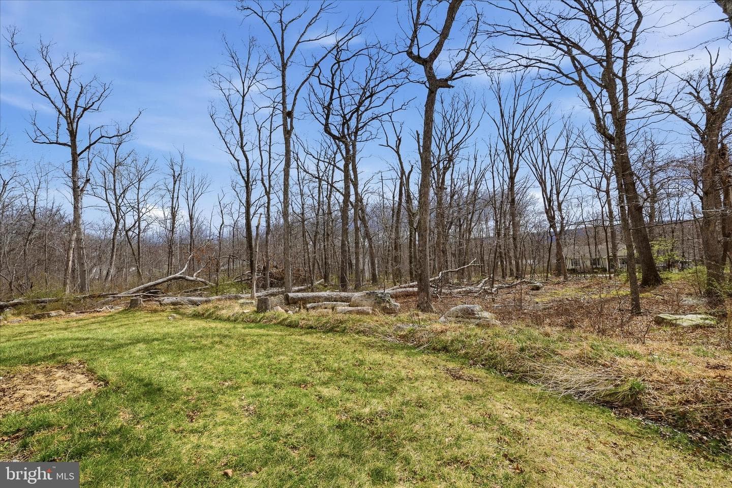145 Graywolf Trail photo 43