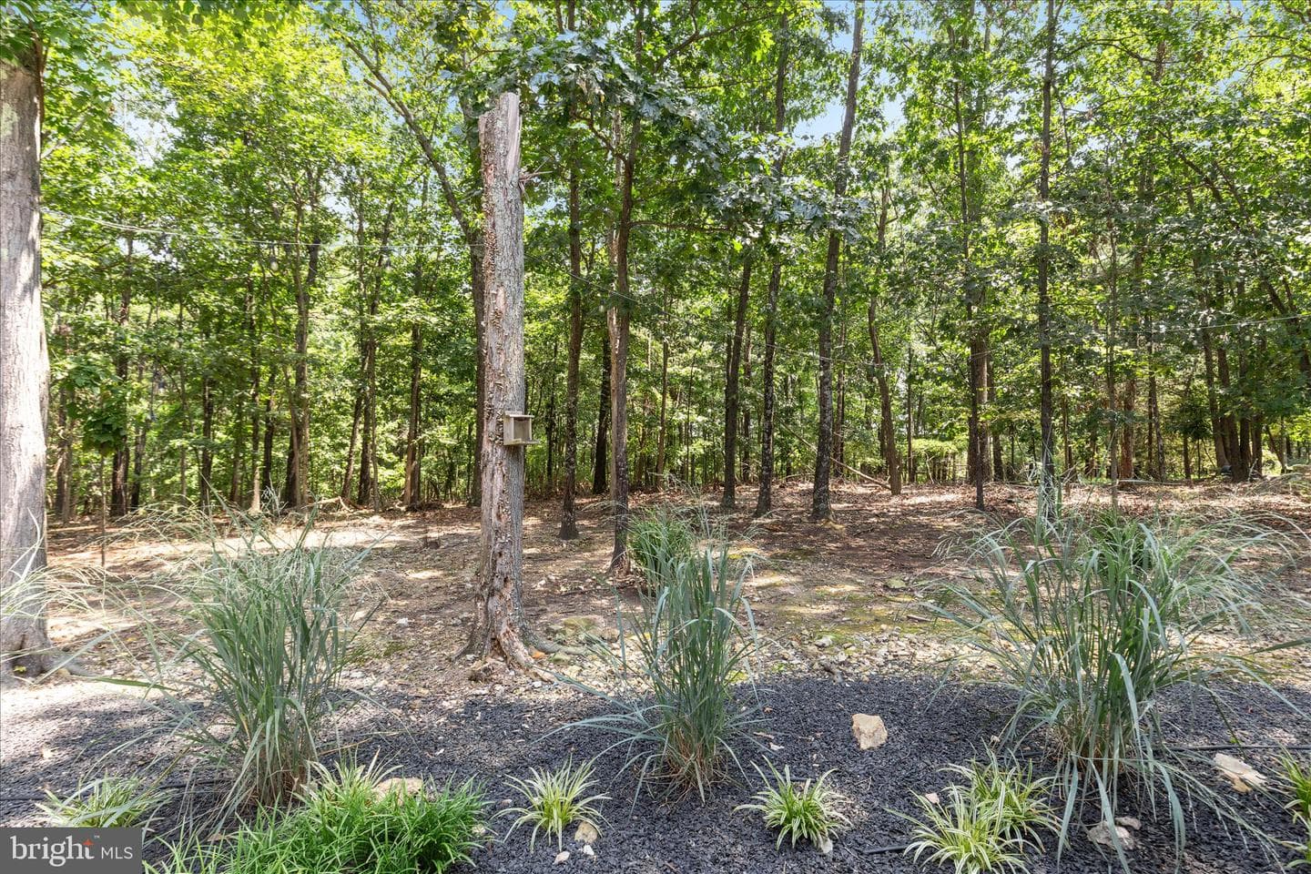 805 S Lakeview Drive photo 49