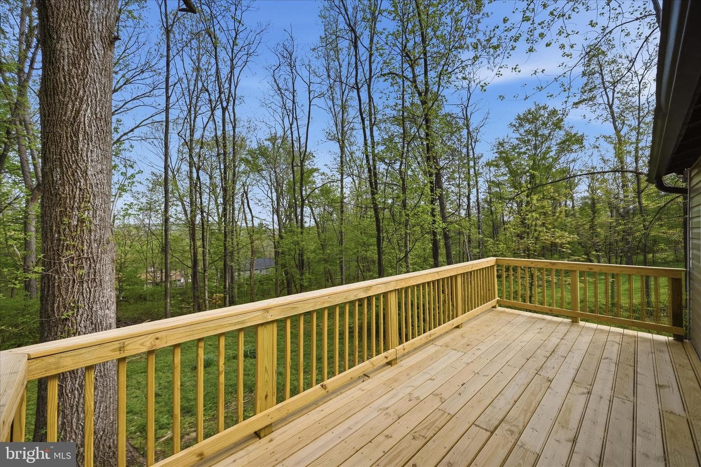 105 Buckskin Trail photo 36